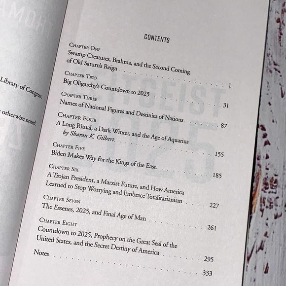 Zeitgeist 2025 Countdown to the secret destiny of America by Thomas R. Horn book - Picture 5 of 8